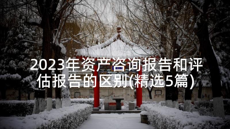 2023年资产咨询报告和评估报告的区别(精选5篇)