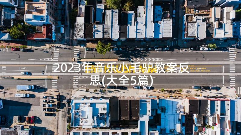 2023年音乐小毛驴教案反思(大全5篇)