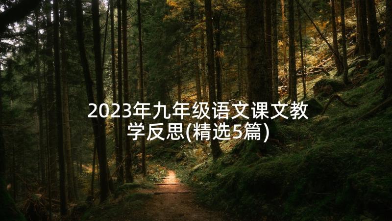 2023年九年级语文课文教学反思(精选5篇)