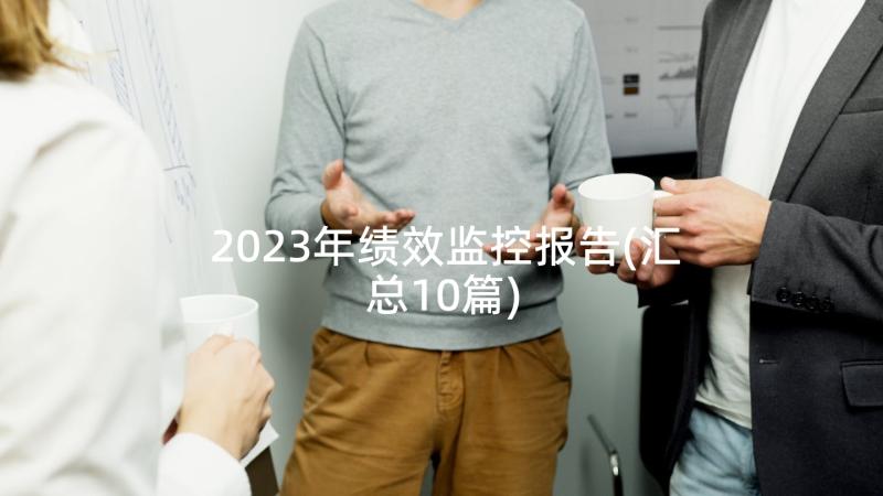 2023年绩效监控报告(汇总10篇)