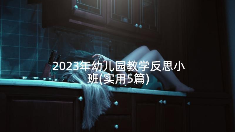 2023年幼儿园教学反思小班(实用5篇)