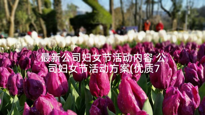 最新公司妇女节活动内容 公司妇女节活动方案(优质7篇)