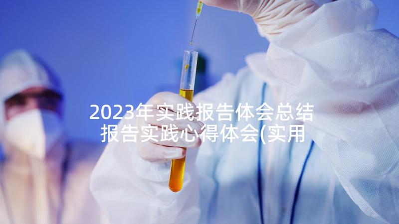 2023年实践报告体会总结 报告实践心得体会(实用9篇)