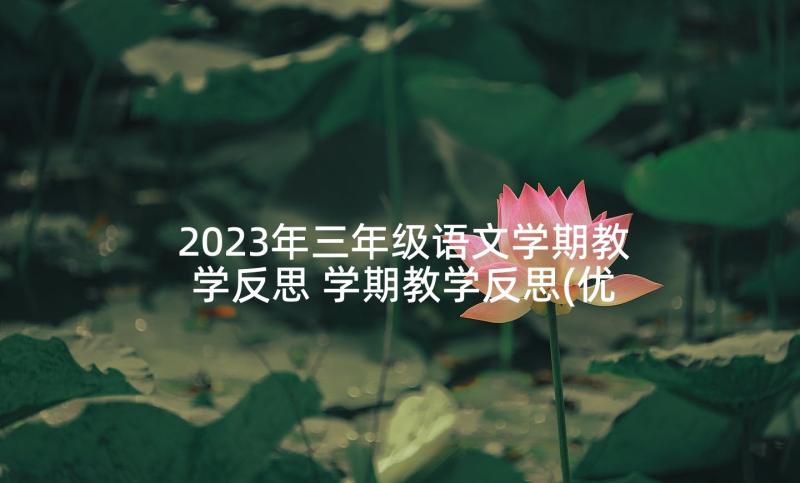 2023年三年级语文学期教学反思 学期教学反思(优质9篇)