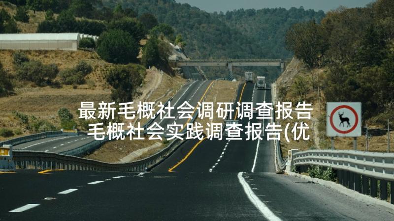 最新毛概社会调研调查报告 毛概社会实践调查报告(优质5篇)