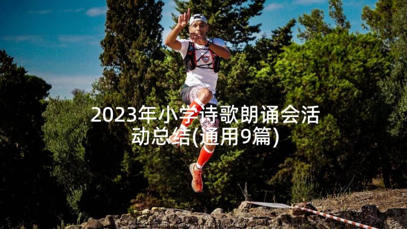 2023年小学诗歌朗诵会活动总结(通用9篇)