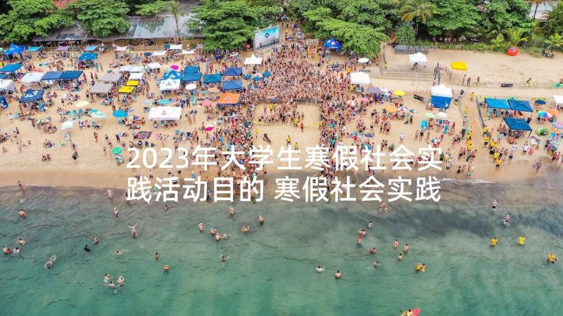 2023年大学生寒假社会实践活动目的 寒假社会实践活动总结大学生(大全6篇)