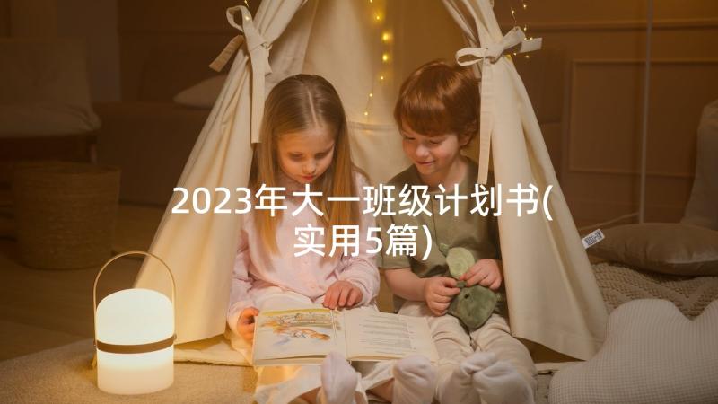 2023年大一班级计划书(实用5篇)