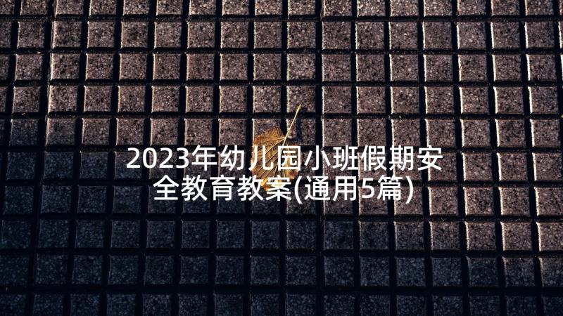 2023年幼儿园小班假期安全教育教案(通用5篇)