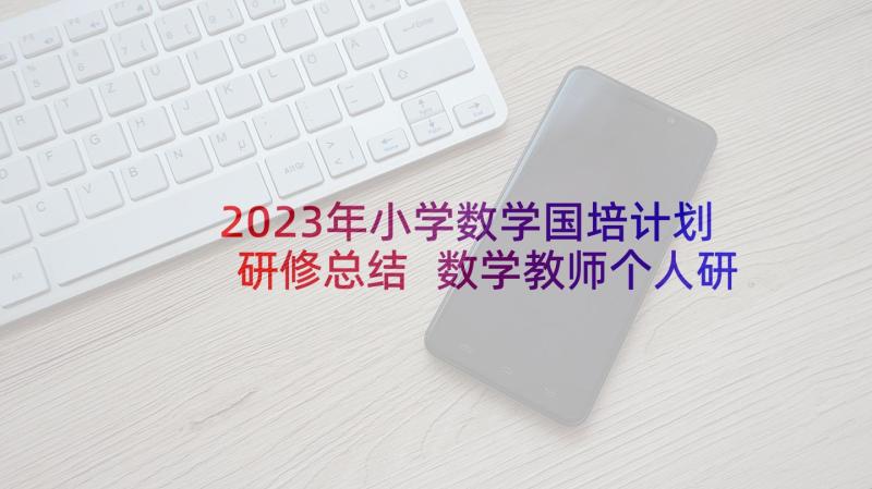 2023年小学数学国培计划研修总结 数学教师个人研修计划(通用5篇)