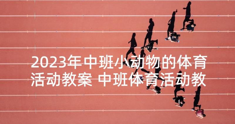 2023年中班小动物的体育活动教案 中班体育活动教案(实用9篇)