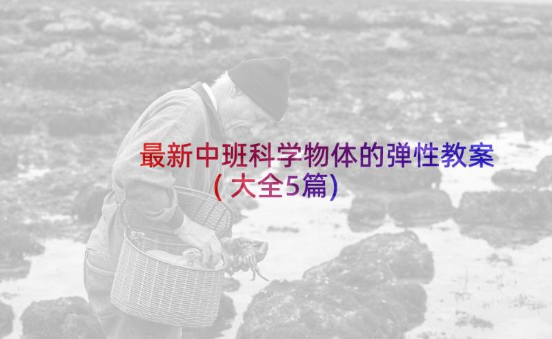 最新中班科学物体的弹性教案(大全5篇)