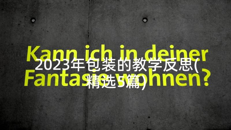 2023年包装的教学反思(精选5篇)