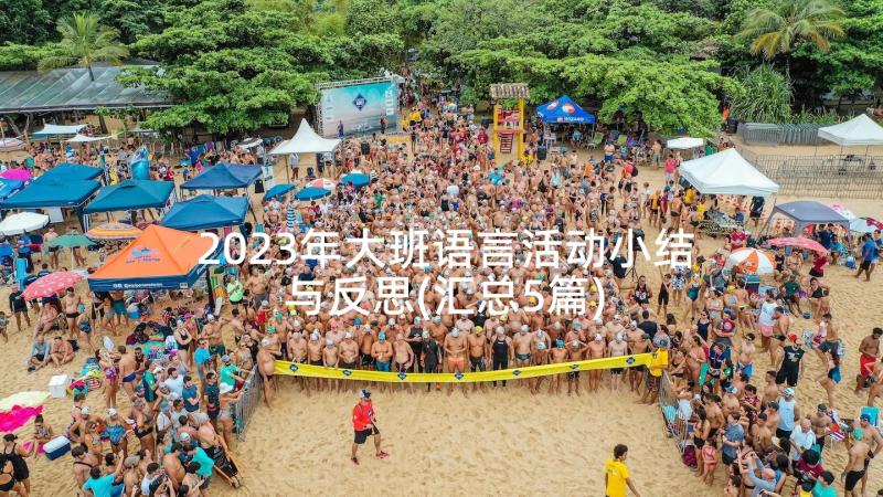 2023年大班语言活动小结与反思(汇总5篇)