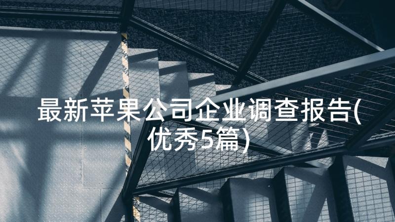 最新苹果公司企业调查报告(优秀5篇)