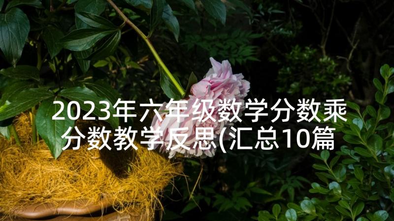 2023年六年级数学分数乘分数教学反思(汇总10篇)