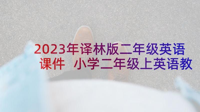 2023年译林版二年级英语课件 小学二年级上英语教学计划(模板6篇)