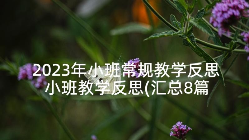 2023年小班常规教学反思 小班教学反思(汇总8篇)