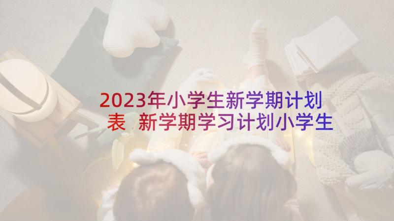 2023年小学生新学期计划表 新学期学习计划小学生(精选6篇)