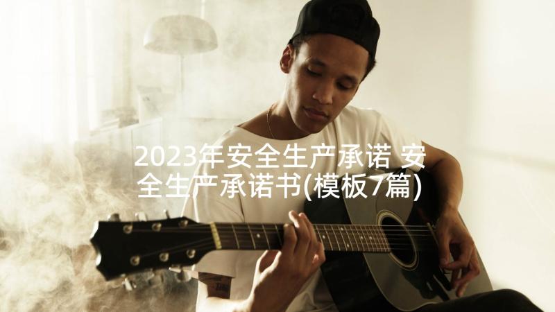 2023年安全生产承诺 安全生产承诺书(模板7篇)