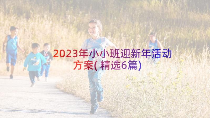 2023年小小班迎新年活动方案(精选6篇)