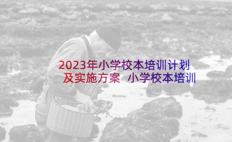 2023年小学校本培训计划及实施方案 小学校本培训计划(大全9篇)