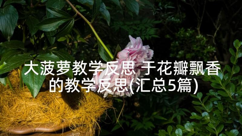 大菠萝教学反思 于花瓣飘香的教学反思(汇总5篇)