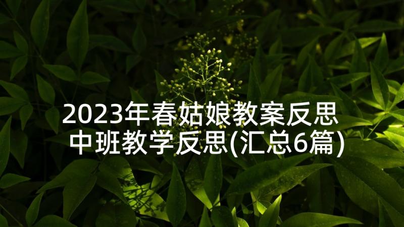 2023年春姑娘教案反思 中班教学反思(汇总6篇)