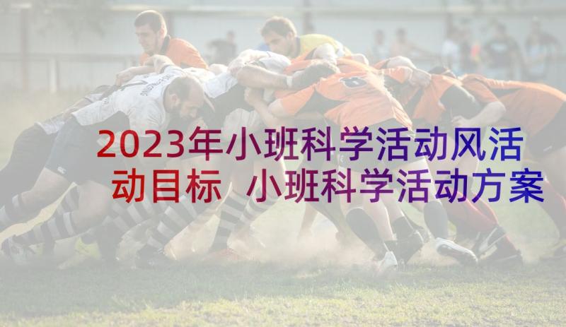 2023年小班科学活动风活动目标 小班科学活动方案(通用10篇)