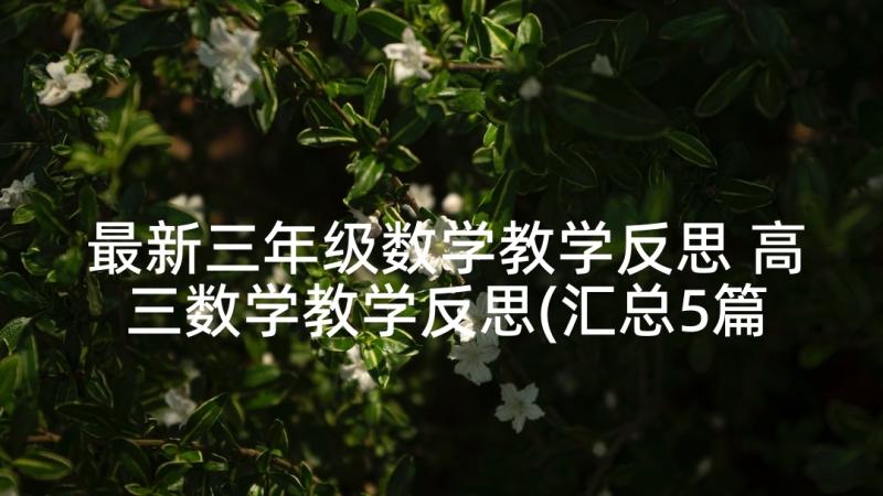 最新三年级数学教学反思 高三数学教学反思(汇总5篇)