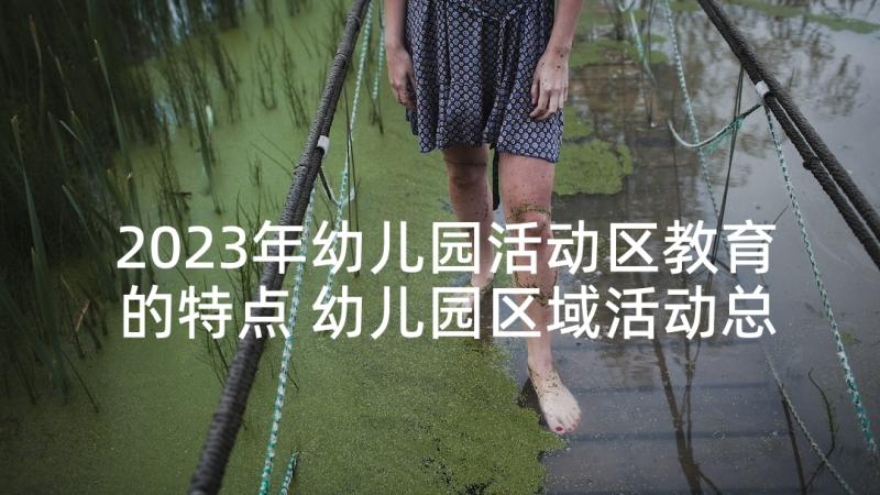 2023年幼儿园活动区教育的特点 幼儿园区域活动总结(优秀9篇)