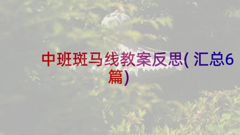 中班斑马线教案反思(汇总6篇)