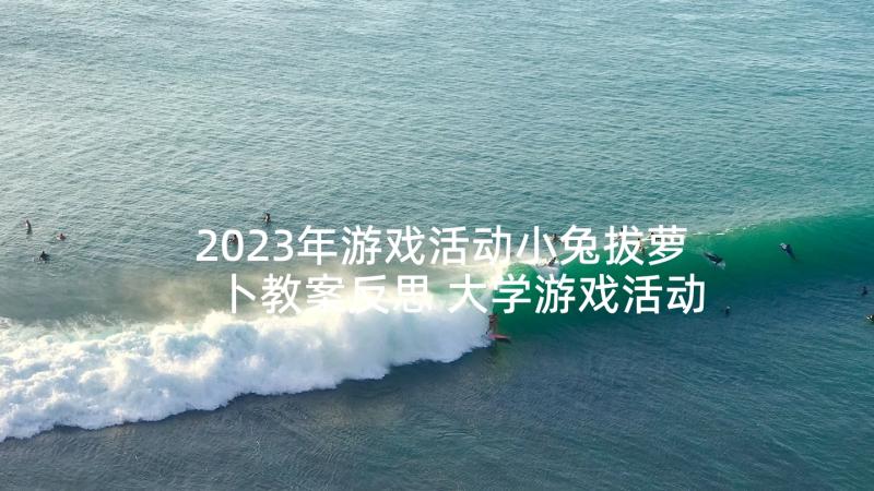 2023年游戏活动小兔拔萝卜教案反思 大学游戏活动心得体会(通用6篇)