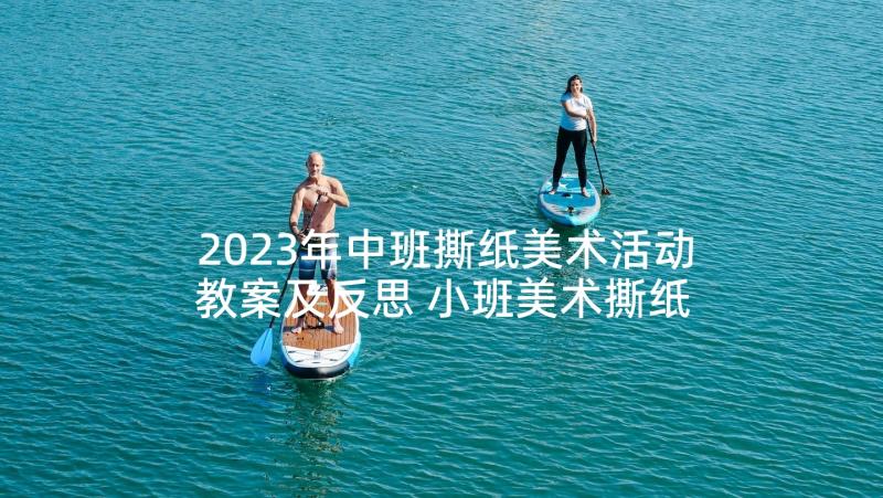 2023年中班撕纸美术活动教案及反思 小班美术撕纸活动教案(大全6篇)