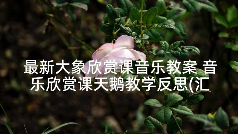 最新大象欣赏课音乐教案 音乐欣赏课天鹅教学反思(汇总5篇)