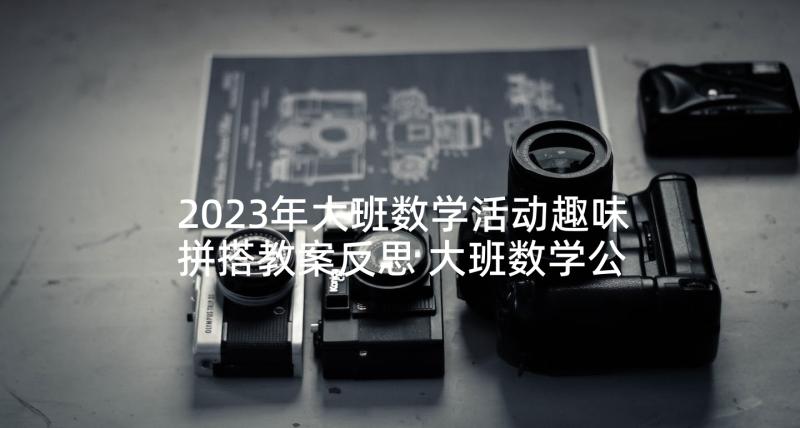 2023年大班数学活动趣味拼搭教案反思 大班数学公开课趣味拼搭教案(大全5篇)