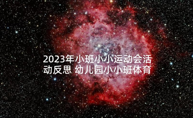 2023年小班小小运动会活动反思 幼儿园小小班体育活动方案(模板5篇)