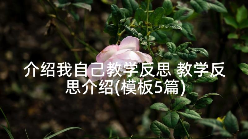 介绍我自己教学反思 教学反思介绍(模板5篇)