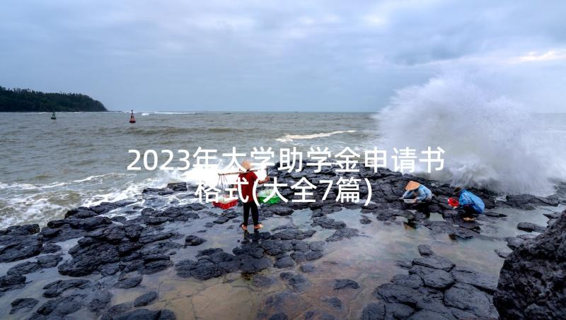 2023年大学助学金申请书格式(大全7篇)