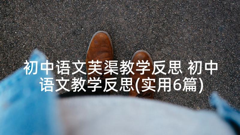 初中语文芙渠教学反思 初中语文教学反思(实用6篇)