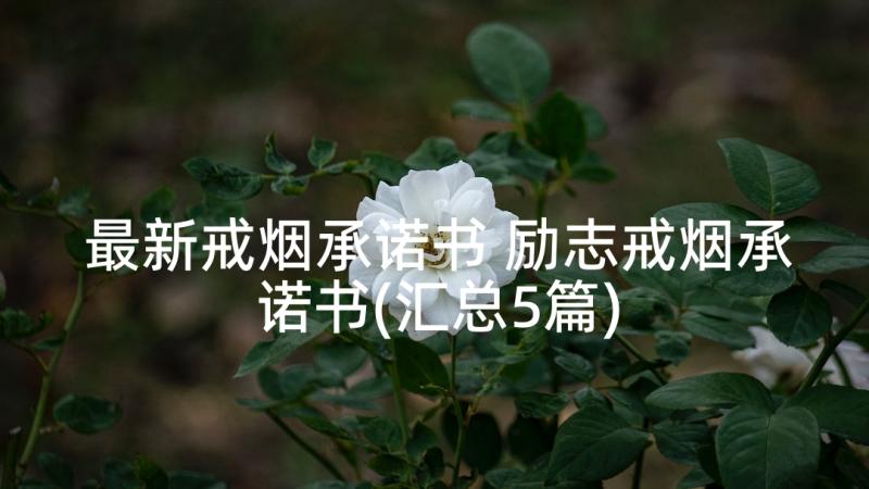 最新戒烟承诺书 励志戒烟承诺书(汇总5篇)