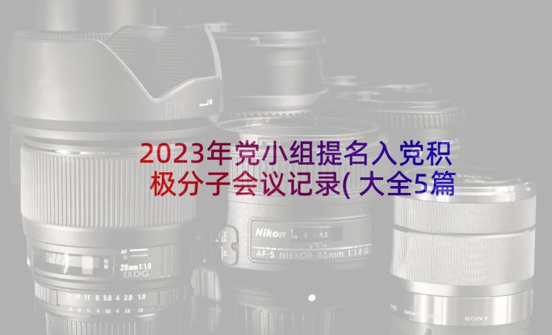 2023年党小组提名入党积极分子会议记录(大全5篇)