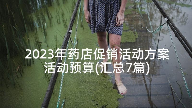 2023年药店促销活动方案活动预算(汇总7篇)