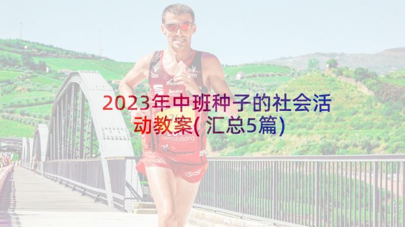 2023年中班种子的社会活动教案(汇总5篇)