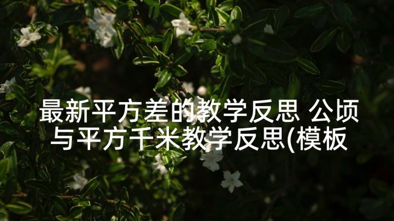 最新平方差的教学反思 公顷与平方千米教学反思(模板10篇)