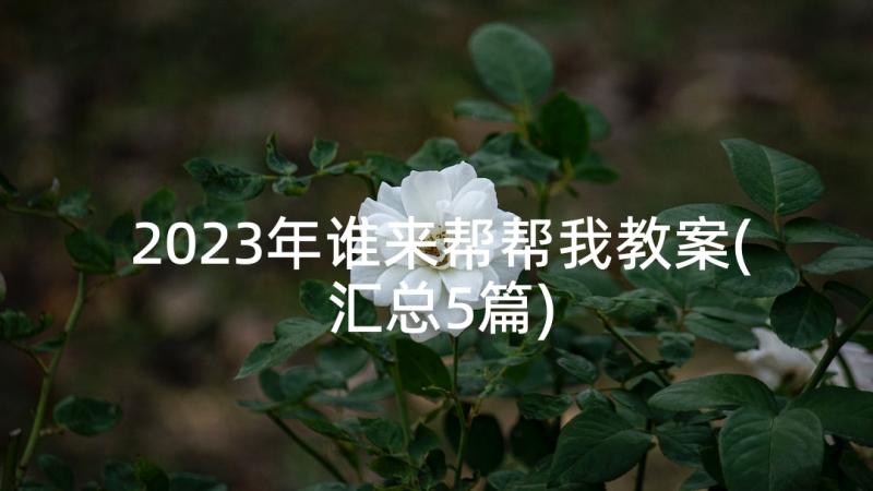 2023年谁来帮帮我教案(汇总5篇)