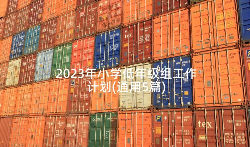 2023年小学低年级组工作计划(通用5篇)