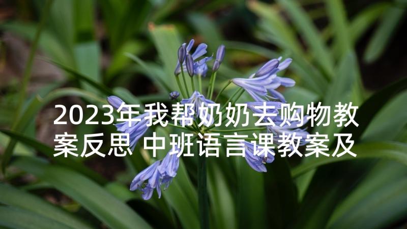 2023年我帮奶奶去购物教案反思 中班语言课教案及教学反思给熊奶奶读信(汇总5篇)