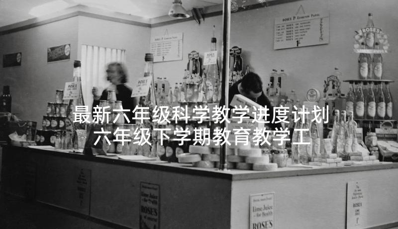 最新六年级科学教学进度计划 六年级下学期教育教学工作计划(模板5篇)