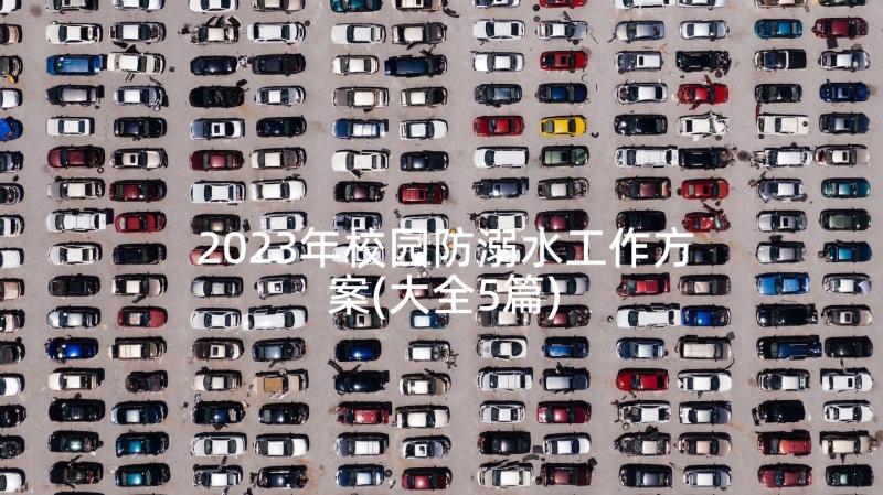 2023年校园防溺水工作方案(大全5篇)